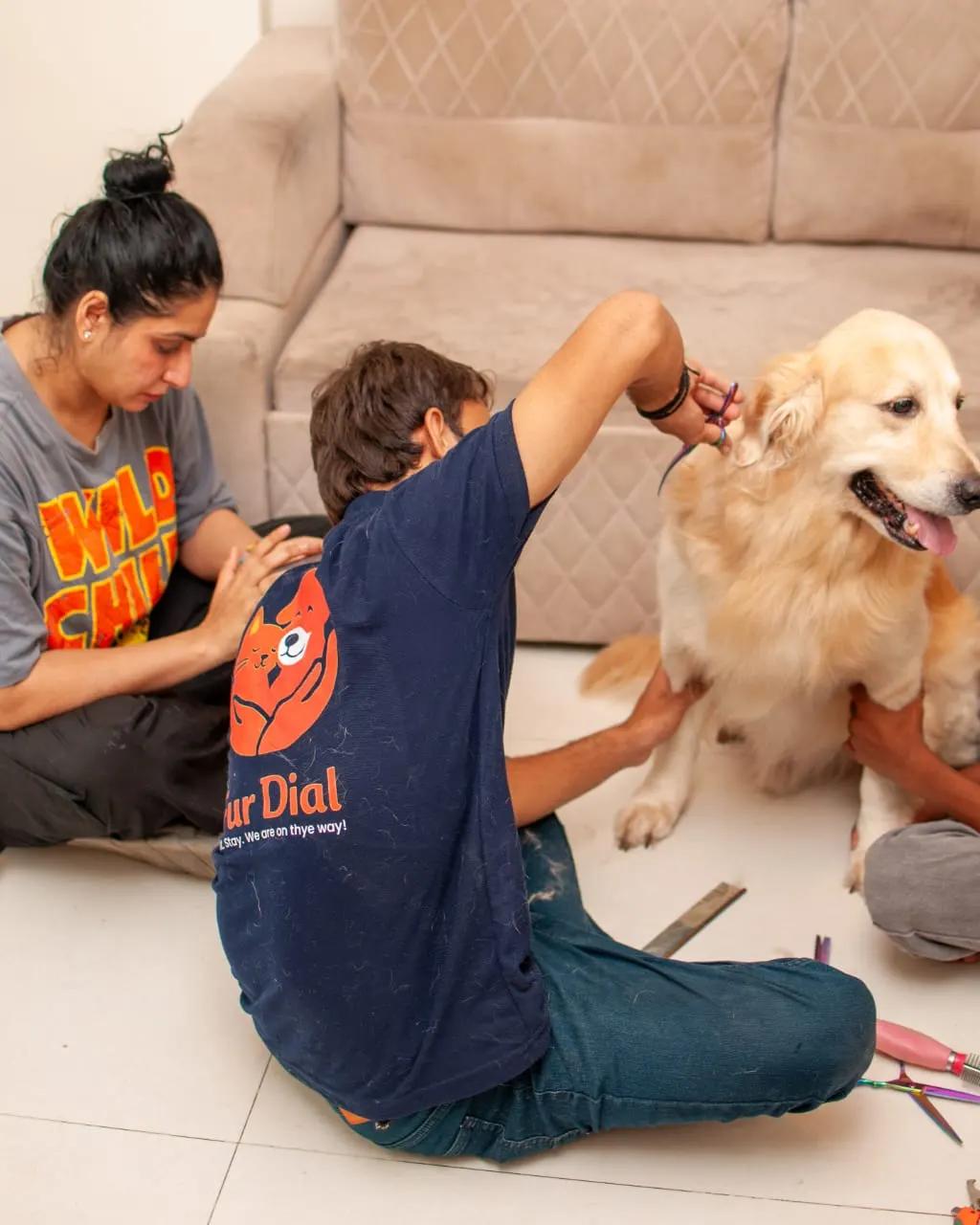 A FurDial groomer trimming a golden retriever on the living-room floor at home, with the pet parent sitting alongside